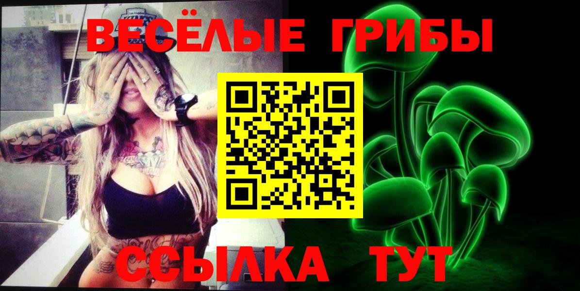 Галлюциногенные грибы GOLDEN TEACHER Вязники