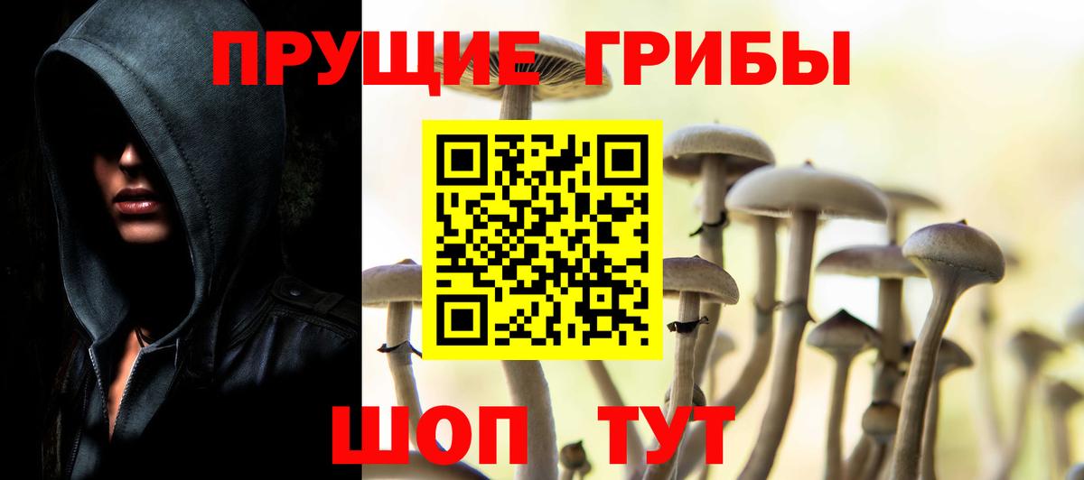 Вязники  Псилоцибиновые грибы прущие грибы  Вход с VPN 