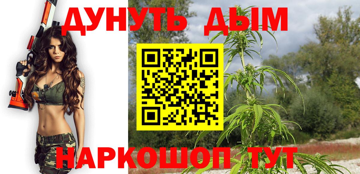 Конопля тримм  Каннабис сатива  Вязники  Вход с VPN 